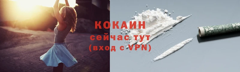 цены наркотик  Лосино-Петровский  MEGA зеркало  Cocaine Fish Scale 